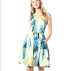Taylor Dresses Paint Print Fit and Flare Dress